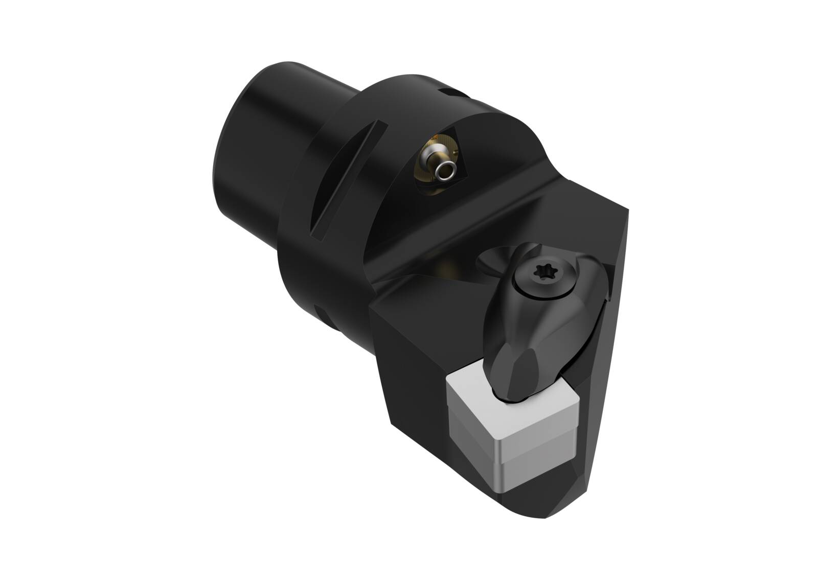 C6-DSKNL-45065-19-M 