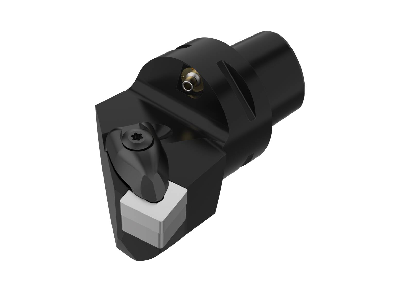  C6-DSKNR-45065-19-M 
